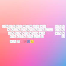 Load image into Gallery viewer, FALSE