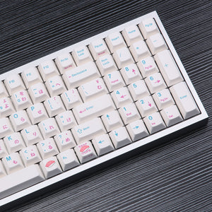 EnjoyPBT Sushi Japanese Keycaps set