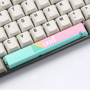 PBT Dye-subbed Spacebar 6.25U